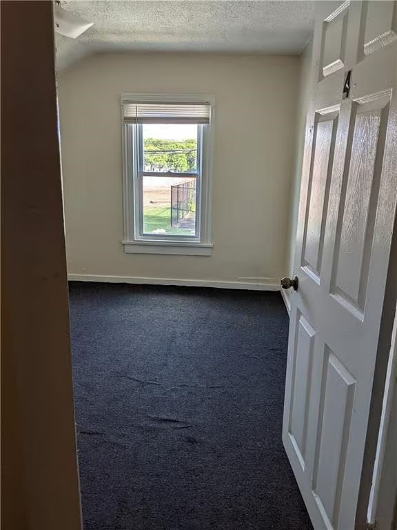 388 Smith St photo 7